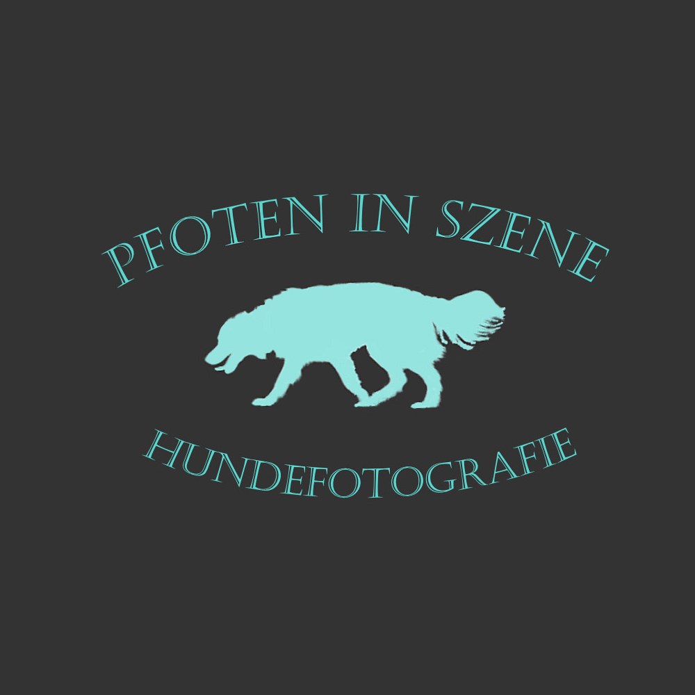 Pfoten in Szene - Hundefotografie Logo