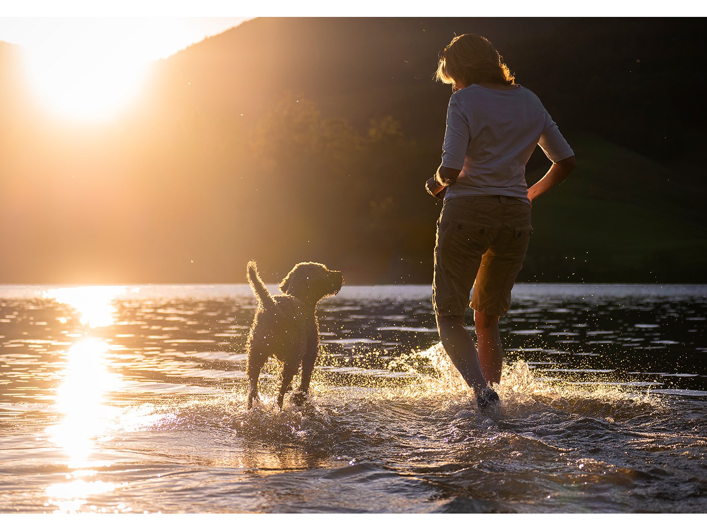 Pfoten in Szene - Hundefotografie  Bild 5