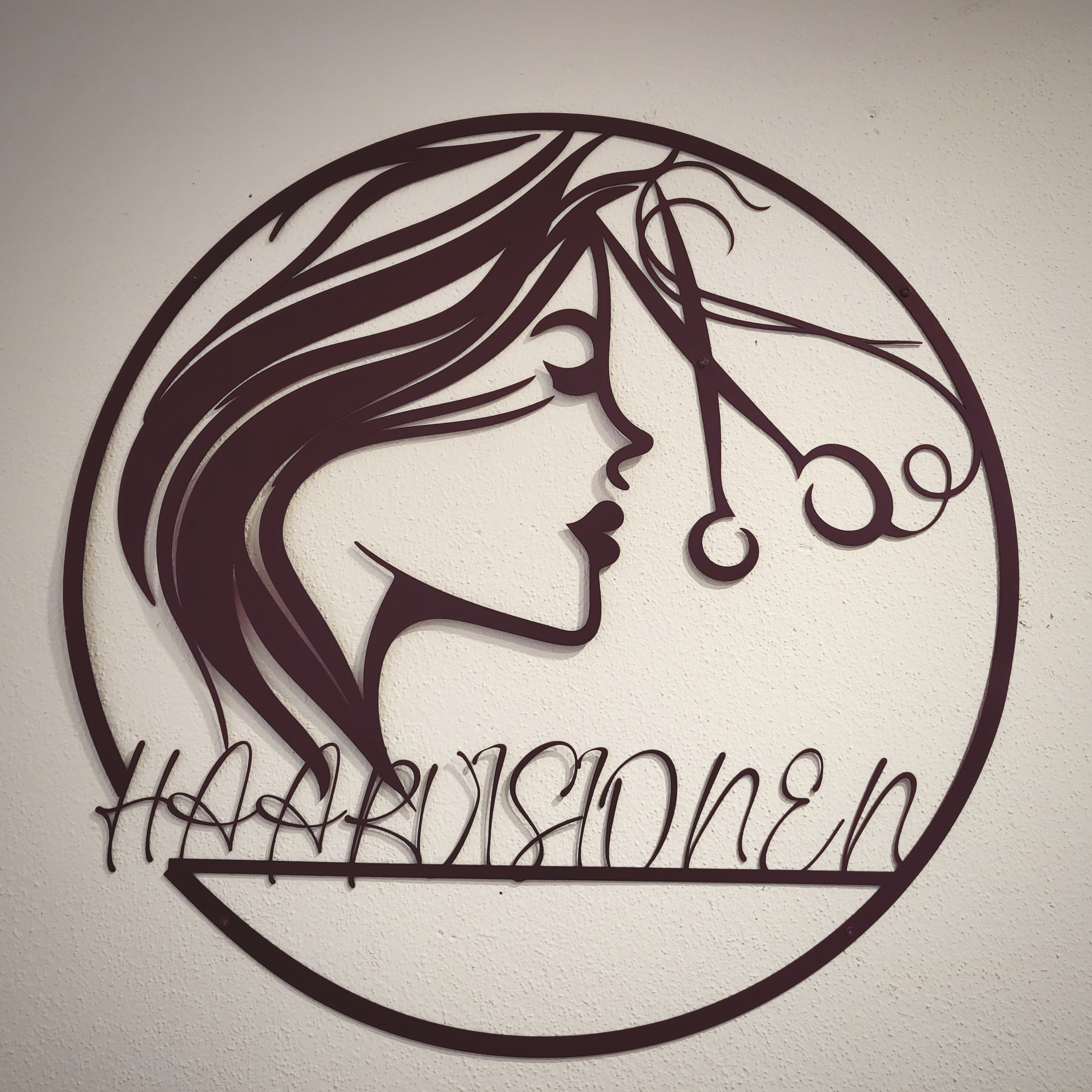 HAARVISIONEN Logo