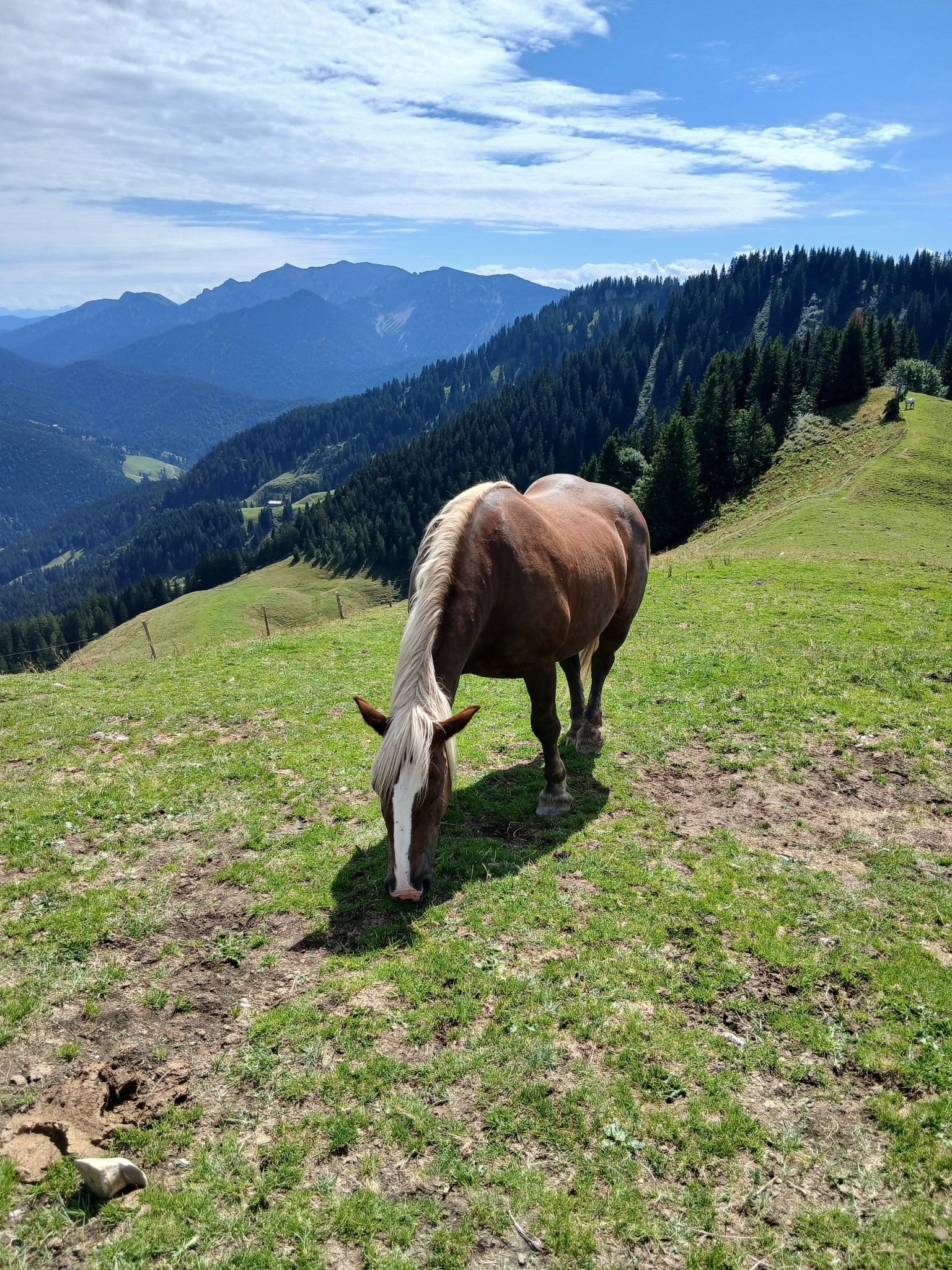 Schliersee Moment