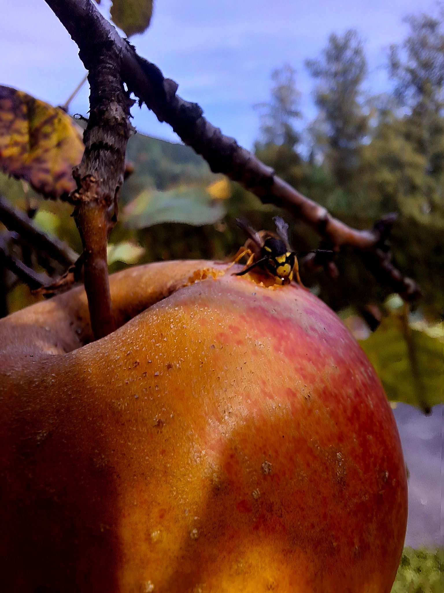 Schliersee Moment