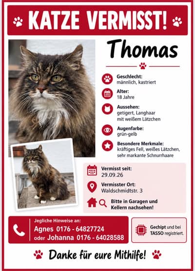 Foto zu Katze vermisst